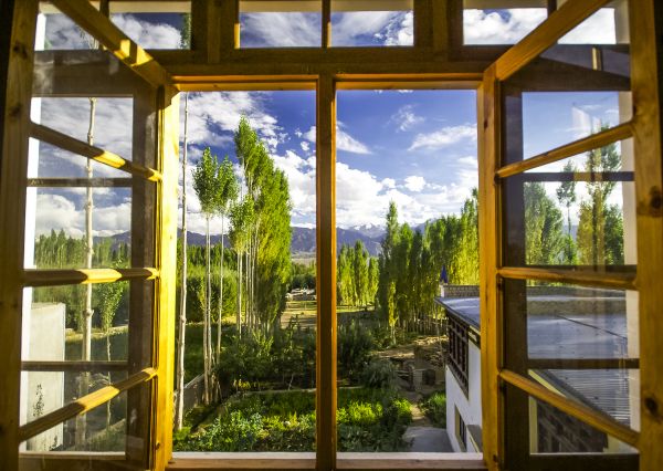Cost of Wood Window Replacement in Santa Monica