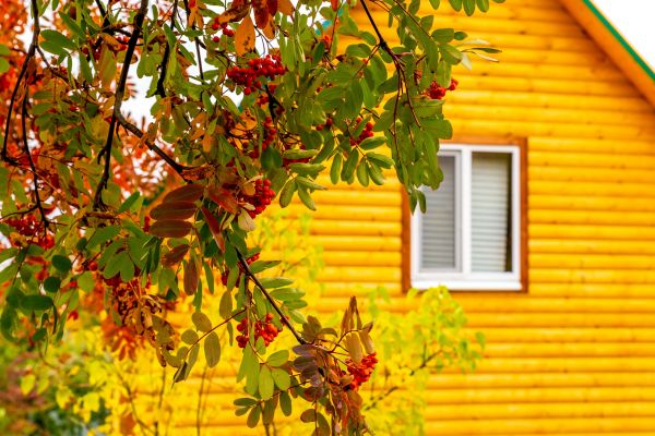 Cost of Garden Window Replacement in Santa Monica